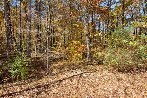 189 Mount Airy Rd, Dunlap, TN 37327 photo 20