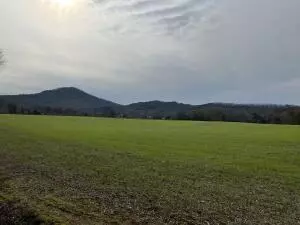 0 Tree Top Lane Ln, Tellico Plains, TN 37385
