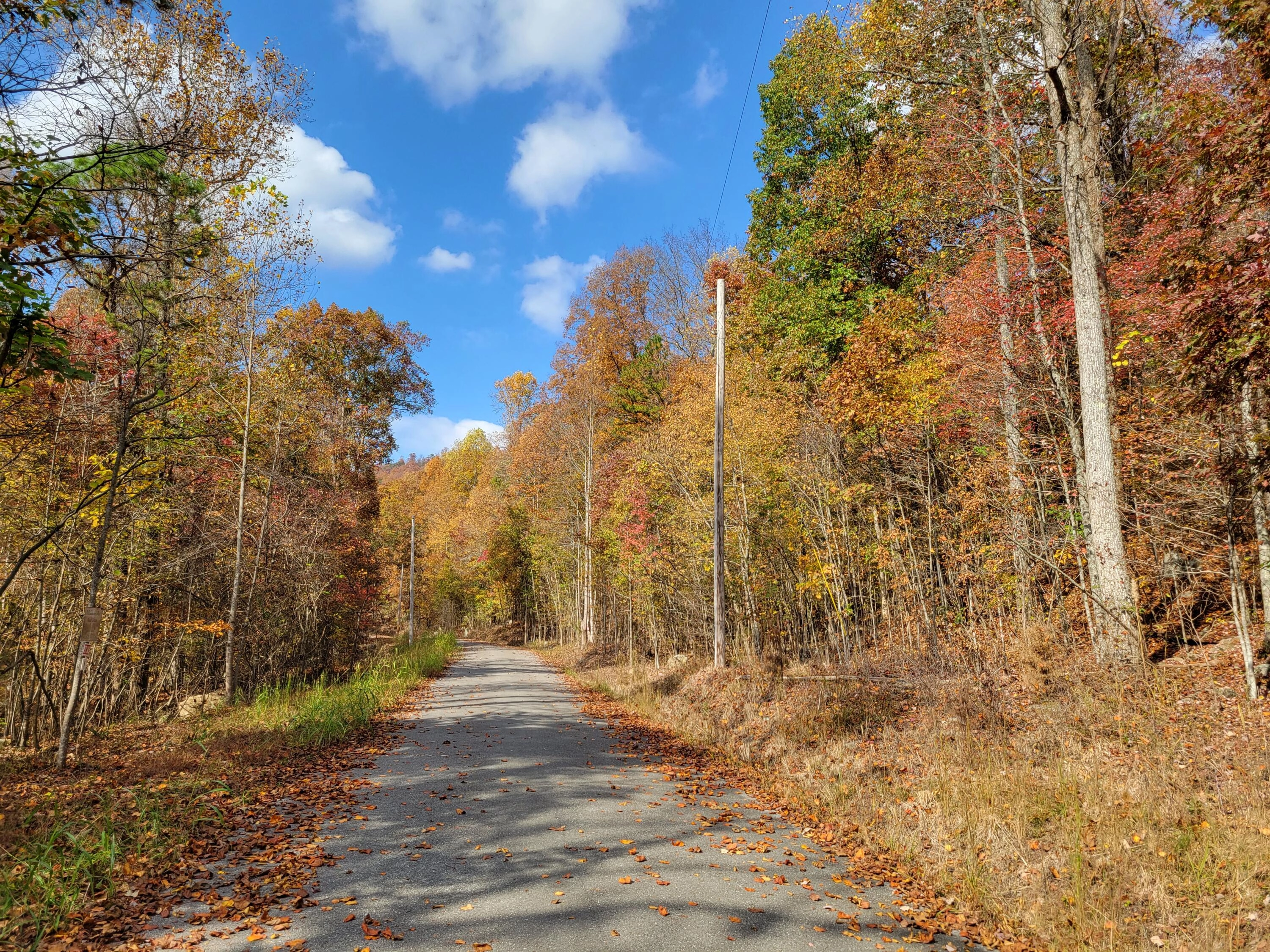 000000 Raulstontown Rd Unit Lot 11  