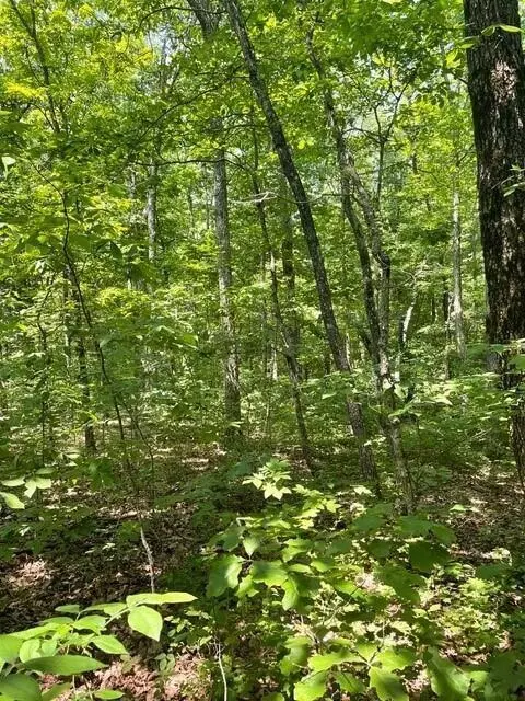 lot5 N Campbell Rd, Altamont, TN 37301