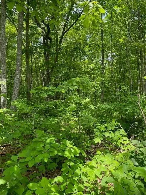 lot9 Blumont Dr #9, Altamont, TN 37301