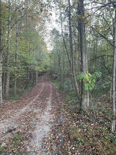 7 72 Ac County Road 724, Bryant, AL 35958