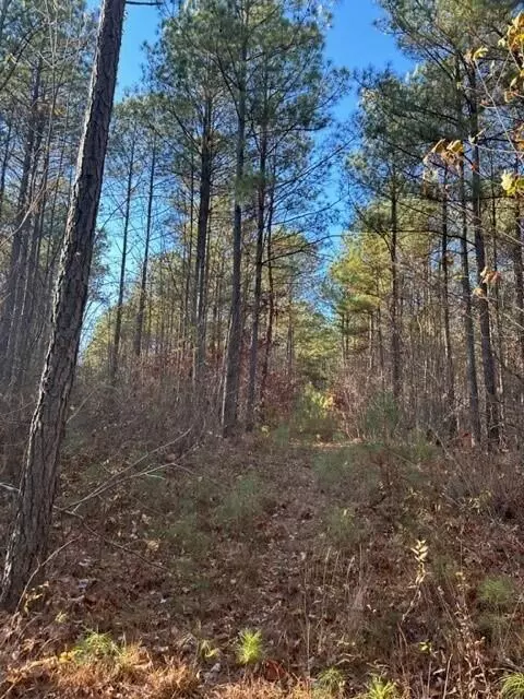 7 Fredonia Road, Dunlap, TN 37327