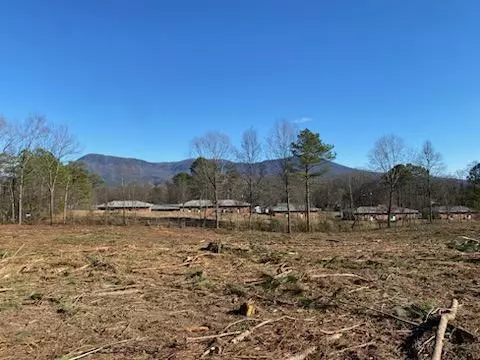 613 W Peachtree St, Chatsworth, GA 30705