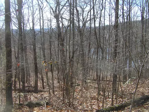 View/Area - 690 Mirror Lake Rd, Dunlap, TN 37327 photo 14 of 15
