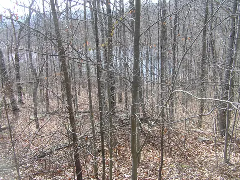 View/Area - 690 Mirror Lake Rd, Dunlap, TN 37327 photo 13 of 15