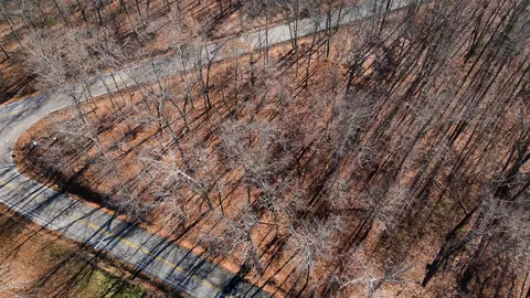 7907 Hixson Springs Rd #17, Signal Mountain, TN 37377