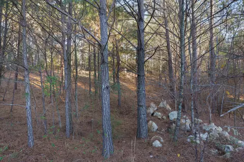8 Maple Leaf Dr, Rock Spring, GA 30739 photo 40