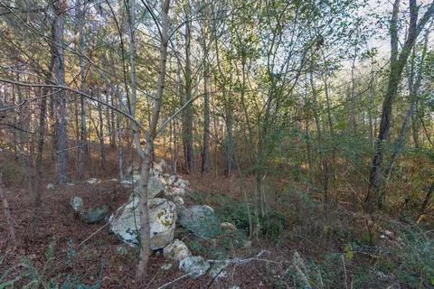 8 Maple Leaf Dr, Rock Spring, GA 30739 photo 39