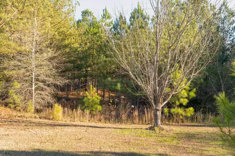 8 Maple Leaf Dr, Rock Spring, GA 30739 photo 38