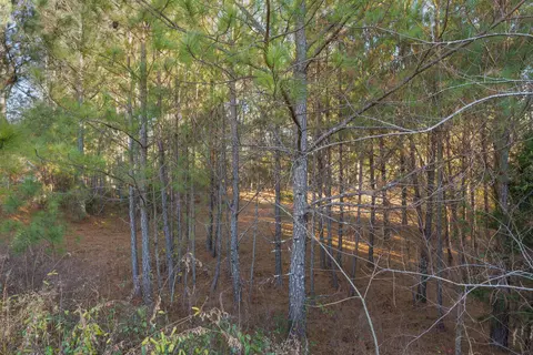 8 Maple Leaf Dr, Rock Spring, GA 30739 photo 41