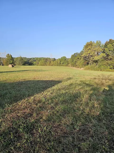 0 Co Rd 93, Bryant, AL 35958