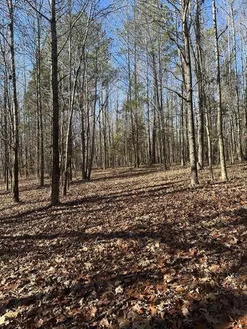 1 NW Lower River Rd #LOT 1, Charleston, TN 37310