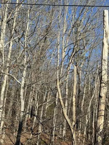2 NW Lower River Rd #LOT 2, Charleston, TN 37310