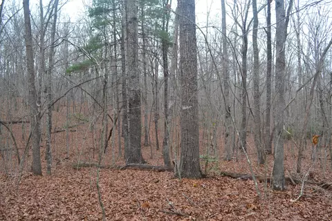 7 2ac Blackberry Ln, Spring City, TN 37381