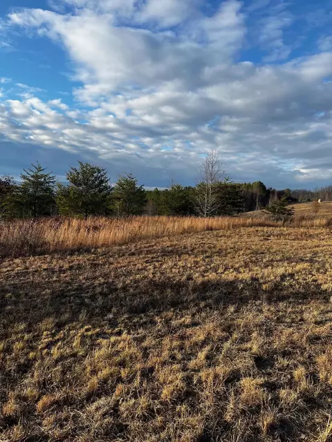 00 Tower Rd #TRACT 26, Grandview, TN 37337