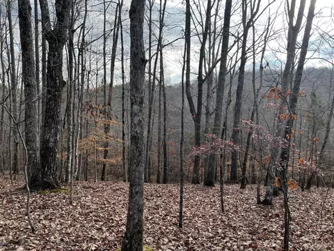 21 64 Acre Co Rd 188, Decatur, TN 37322