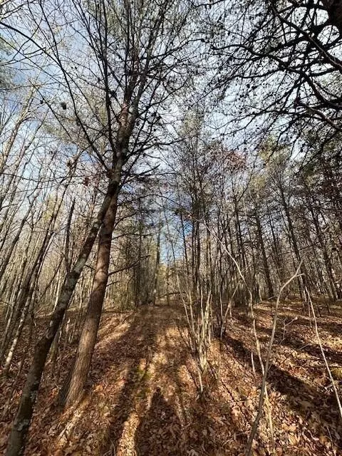 8 Tennessee 150, Sequatchie, TN 37374 photo 3