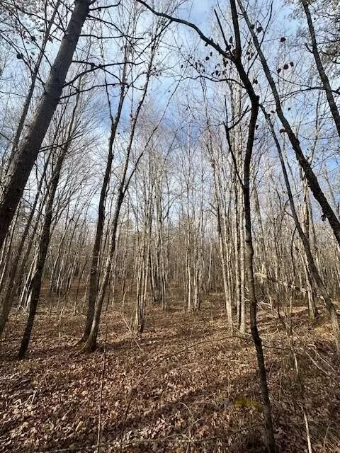 8 Tennessee 150, Sequatchie, TN 37374 photo 2