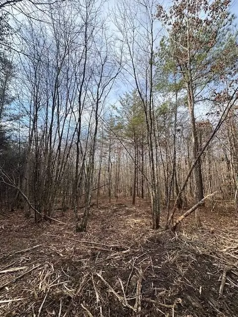 8 Tennessee 150, Sequatchie, TN 37374
