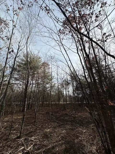 8 Tennessee 150, Sequatchie, TN 37374 photo 4