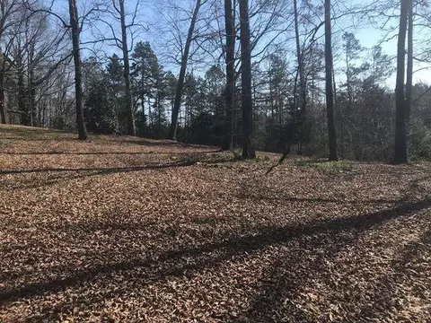 00 Old Lower River Rd #NW, Charleston, TN 37310