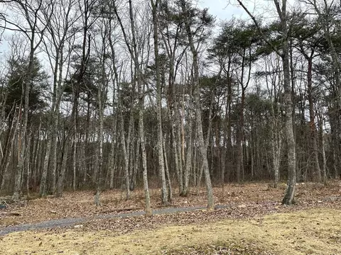 8197 Mountain Laurel Trl #52, Signal Mountain, TN 37377