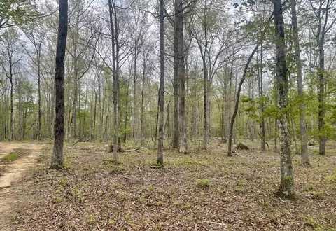 0 Tranquil Acres Rd 1, Sequatchie, TN 37374 photo 18