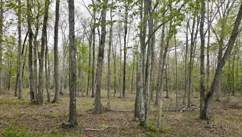 0 Tranquil Acres Rd 1, Sequatchie, TN 37374 photo 23