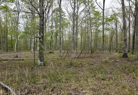 0 Tranquil Acres Rd 1, Sequatchie, TN 37374 photo 24