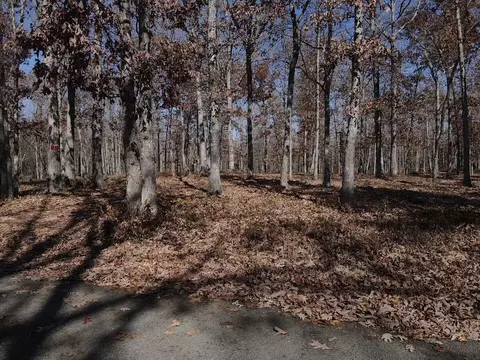 0 Tranquil Acres Rd 1, Sequatchie, TN 37374 photo 10