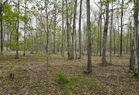 0 Tranquil Acres Rd 1, Sequatchie, TN 37374 photo 22