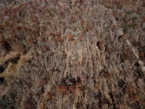 0 Tranquil Acres Rd 1, Sequatchie, TN 37374 photo 7