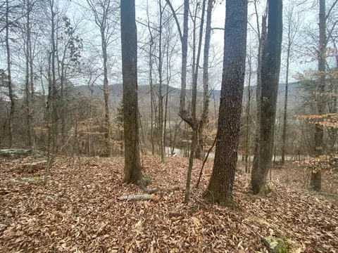 0 Mullins Cove Rd #2, Whitwell, TN 37397