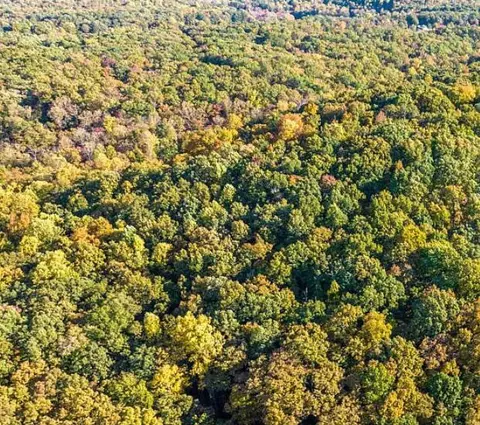 943 Chestnut Ridge Rd, Spring City, TN 37381