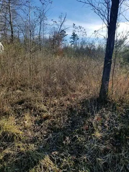 Lot #43 Scenic Lakeview Dr, Spring City, TN 37381