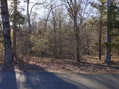 tbd Spring Branch Rd, Mc Donald, TN 37353