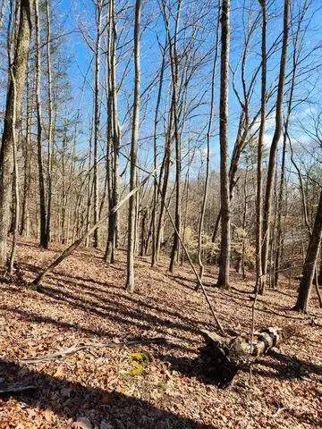 0 Rockview Dr #509, Spring City, TN 37381