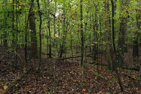 0 Rockview Dr #510, Spring City, TN 37381
