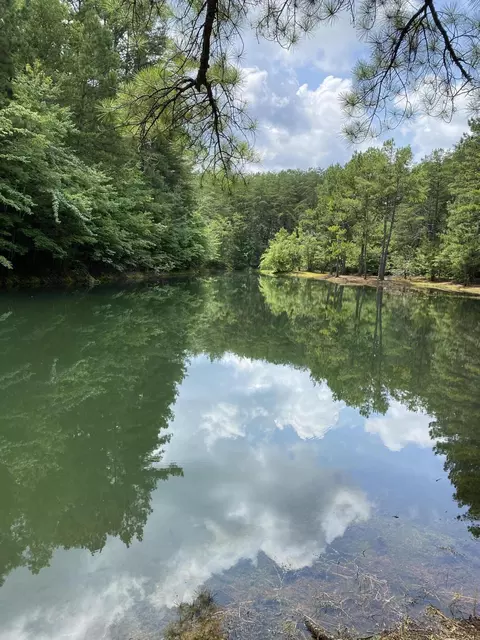678 Griffith Rd #1, Pikeville, TN 37367