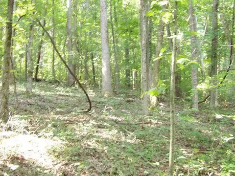 00 Stone Ridge Rd #62, Pikeville, TN 37367