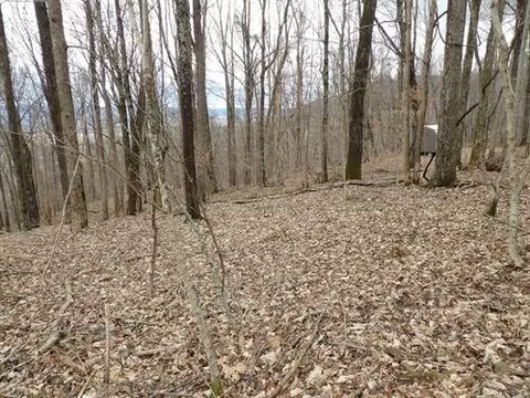 128 Oak Ridge Rd #128, Pikeville, TN 37367