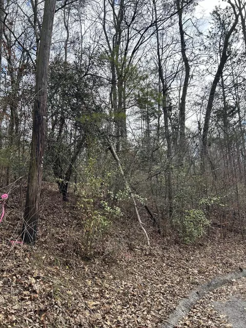Lot 5 Lamont Ln, Chattanooga, TN 37415