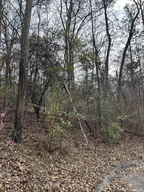 lot5 Lamont Ln, Chattanooga, TN 37415