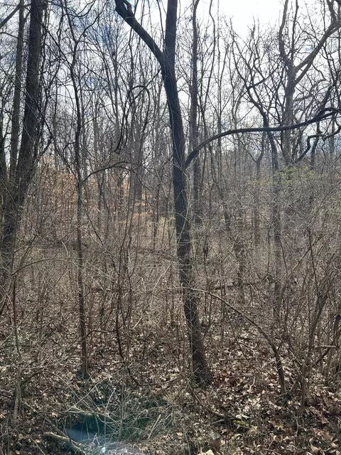 Lot 1 Lamont Lane Ln, Chattanooga, TN 37415