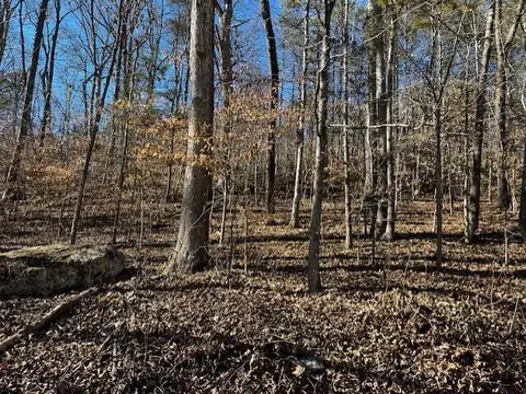 0 Ross Hollow Rd, Ringgold, GA 30736