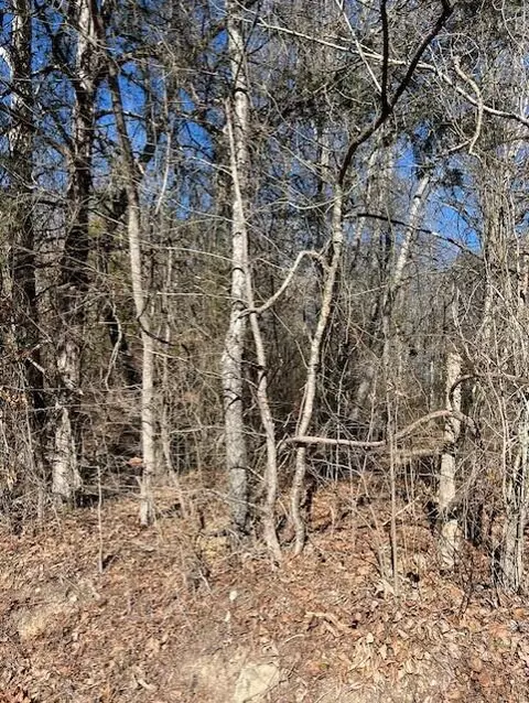 0 Banther Rd #2, Harrison, TN 37341