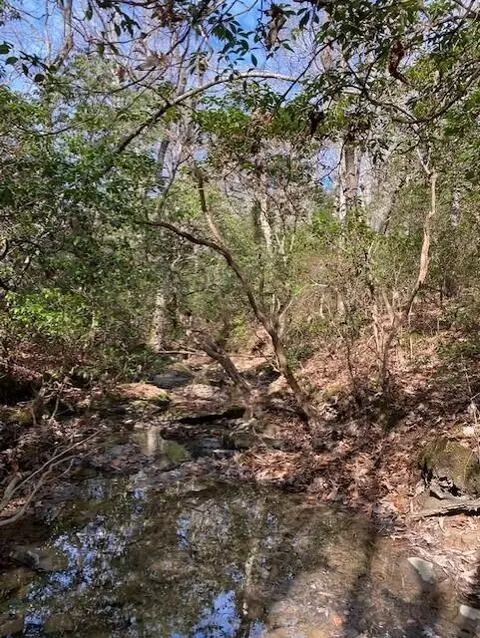Lot 1 Thomas Springs Road #1, Crossville, TN 38572