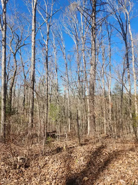 0 Brown Creek Dr #134, Crossville, TN 38571