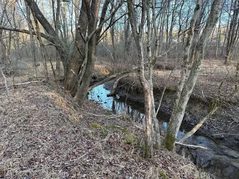 Tract 5 Newt Meeks Road, Tracy City, TN 37387
